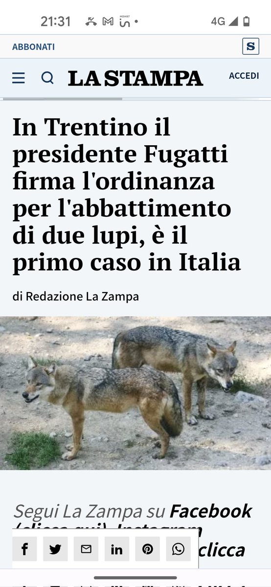 Emilystellaemi2 tweet media