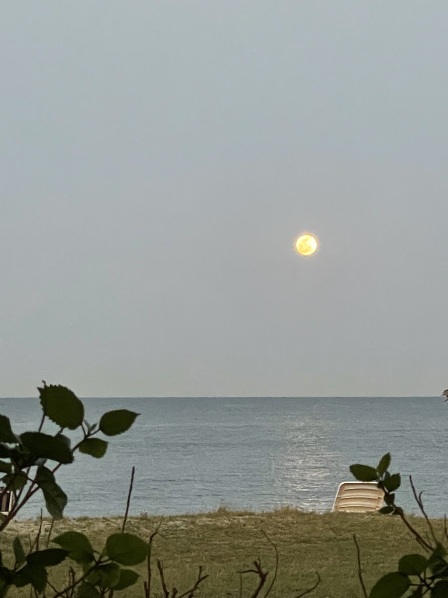 Prof_AlHoqail's tweet photo. #jubail city #seaside at sunset-night #fullmoon times🌅🌕🐬💫🦋🕊️🦩🦚💫🐬🦋#beautiful #saudiarabia #destinations #gcc #Twitter_ bynight #theworld
Copying photos isnot permitted
Photographyby me #myphotos https://t.co/eHiXcU6meP