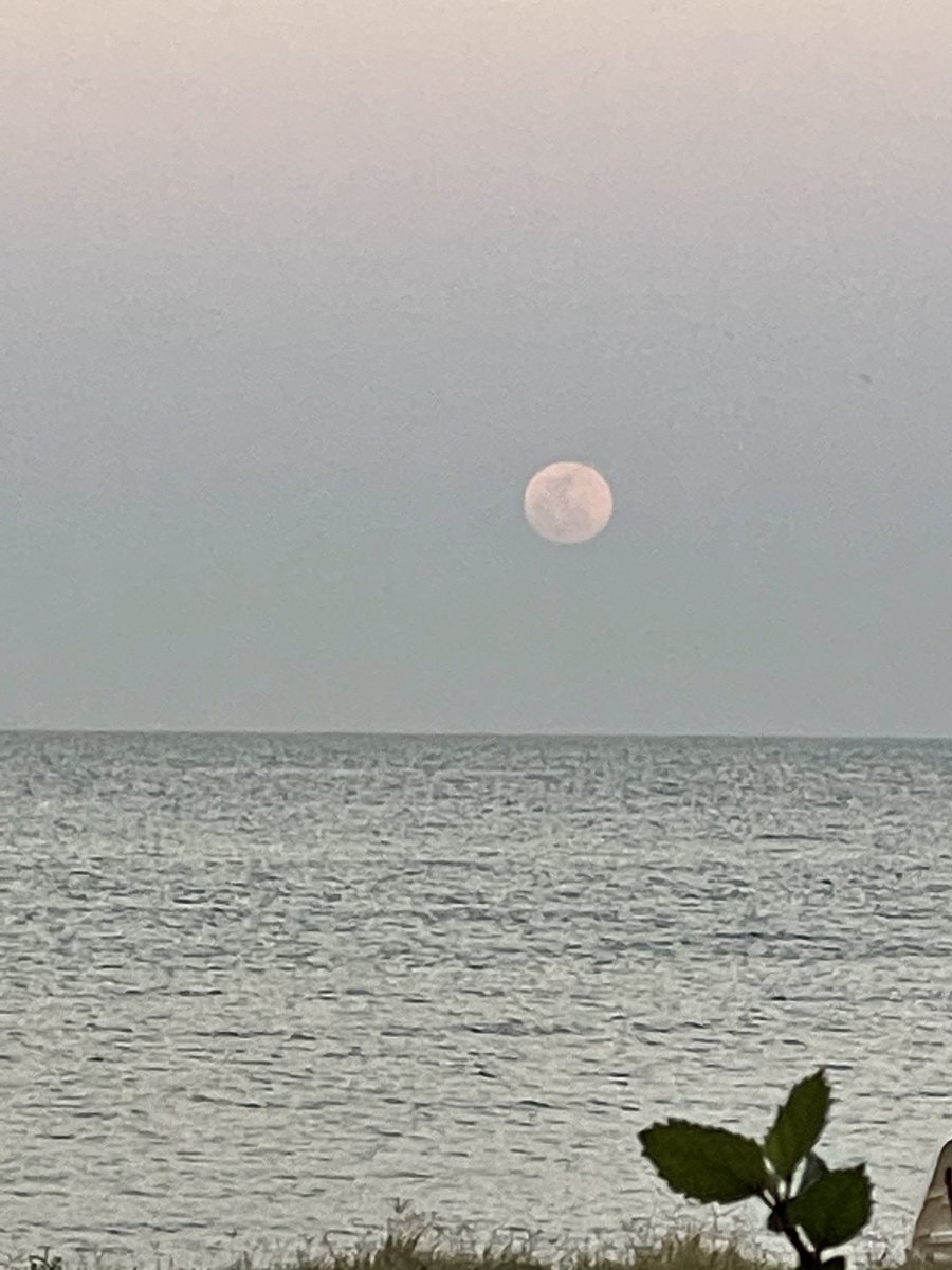 Prof_AlHoqail's tweet photo. #jubail city #seaside at sunset-night #fullmoon times🌅🌕🐬💫🦋🕊️🦩🦚💫🐬🦋#beautiful #saudiarabia #destinations #gcc #Twitter_ bynight #theworld
Copying photos isnot permitted
Photographyby me #myphotos https://t.co/eHiXcU6meP