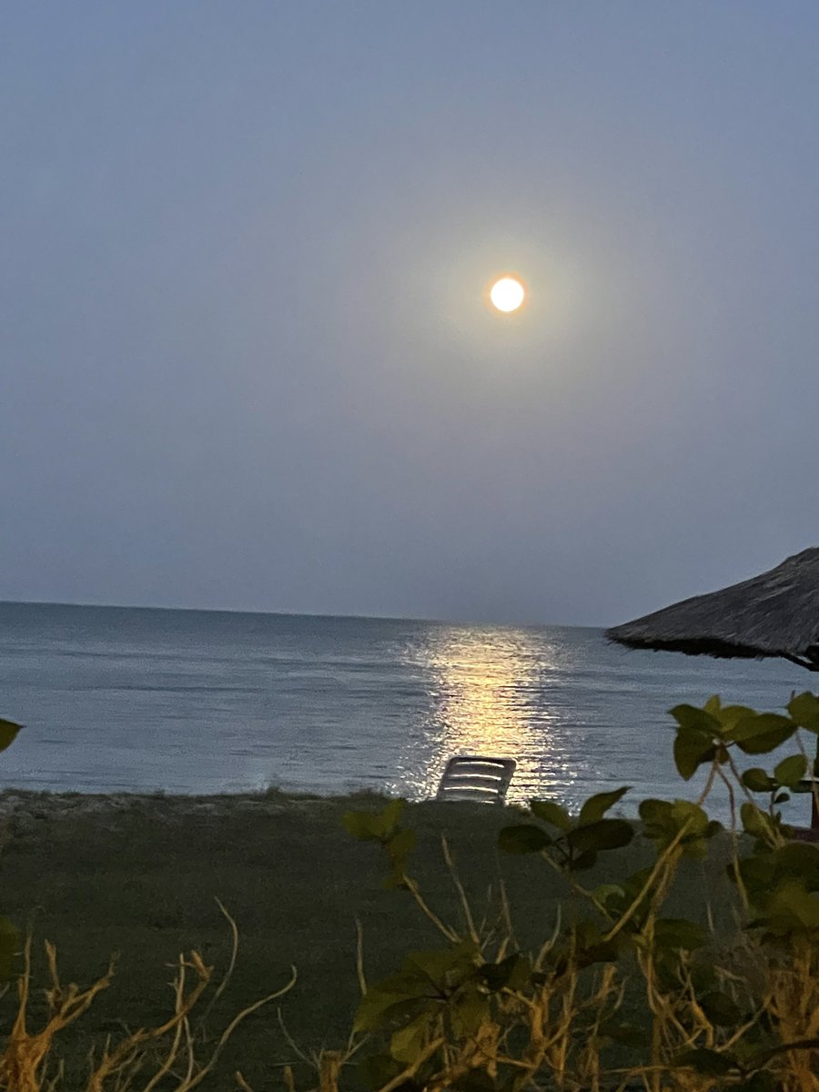 Prof_AlHoqail's tweet photo. #jubail city #seaside at sunset-night #fullmoon times🌅🌕🐬💫🦋🕊️🦩🦚💫🐬🦋#beautiful #saudiarabia #destinations #gcc #Twitter_ bynight #theworld
Copying photos isnot permitted
Photographyby me #myphotos https://t.co/eHiXcU6meP