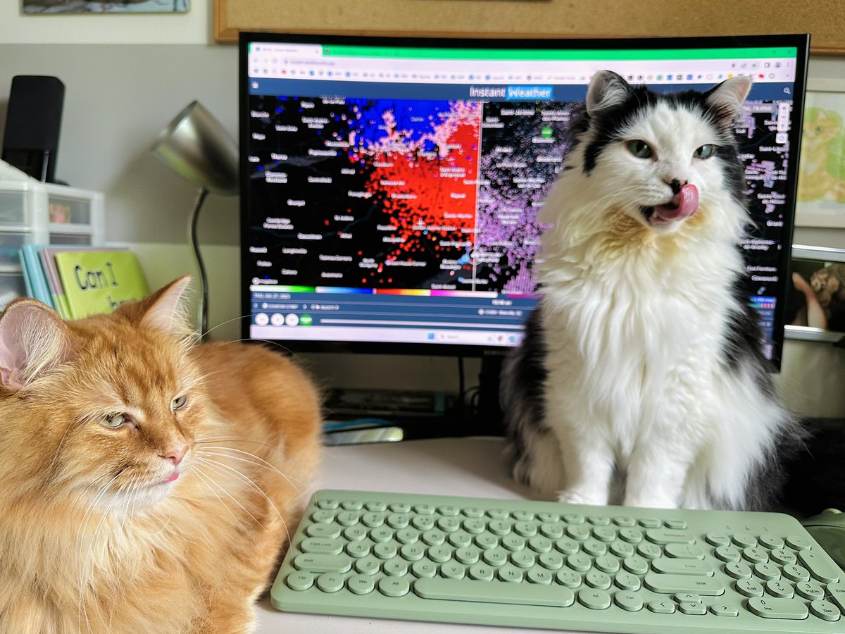TheOreoCat's tweet photo. Weโre ready to brave the storm with our Instant Weather Pro!
@Instant_Weather
@IWeatherON
#instantweather #theoreocat #CatsOfTwitter https://t.co/NjmR0tZzRA
