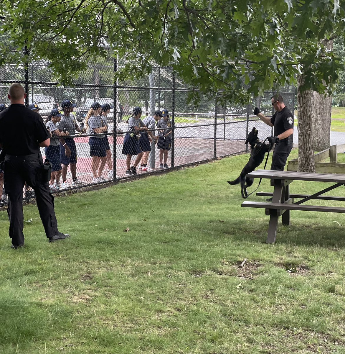 FraminghamPD's tweet photo. This afternoon the #FPYA had a demonstration from the K-9 Unit. Officer Matt Mangano and K9 Isco demonstrated the importance of obedience. Officer Buma and K9 Bergy, and Officer Lewis and K9 Murph demonstrated shell casing and article searches. ๐พ๐พ https://t.co/5tnQPbjA0k