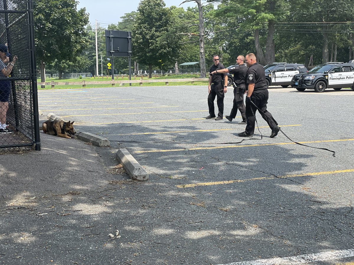 FraminghamPD's tweet photo. This afternoon the #FPYA had a demonstration from the K-9 Unit. Officer Matt Mangano and K9 Isco demonstrated the importance of obedience. Officer Buma and K9 Bergy, and Officer Lewis and K9 Murph demonstrated shell casing and article searches. ๐พ๐พ https://t.co/5tnQPbjA0k