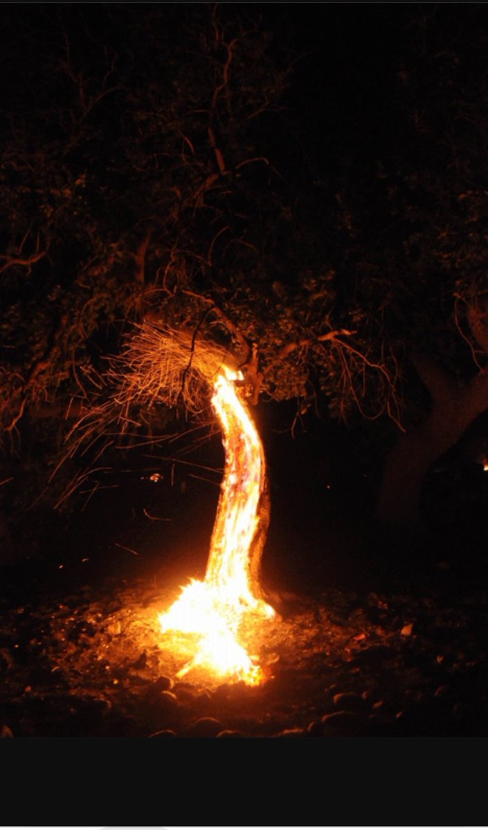 Çırpınıyor yürekler, ağıtlar yankılanıyor dağlara doğru.
Talan ediliyor sevdalar, umutlar ve insanlığa ait olan ne varsa.
Duymaz mı bir allahın kulu çığlığımızı...
Apê Musa’nın dediği gibi; 
Eyy Xwedê êdî bese looo…
#CudiYanıyorSesVer