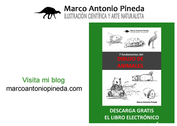 bioimagenmap's tweet photo. Visita mi blog
https://t.co/B7EVEinPQE https://t.co/WpiDjm0nCh