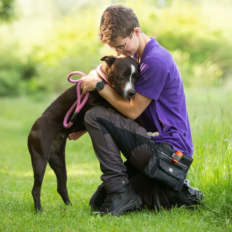 AsielZwolle's tweet photo. Wie van onze dieren kan het meest droevige koppie laten zien?

Dat is Mira! Geen twijfel over mogelijk.
Nou is Mira ook een echte lieverd. Ze is heel graag bij mensen in de buurt. 

Wil je meer weten over deze schat? 

Volg de link.
https://t.co/moZEoXMIGJ https://t.co/DQfjHck1CY