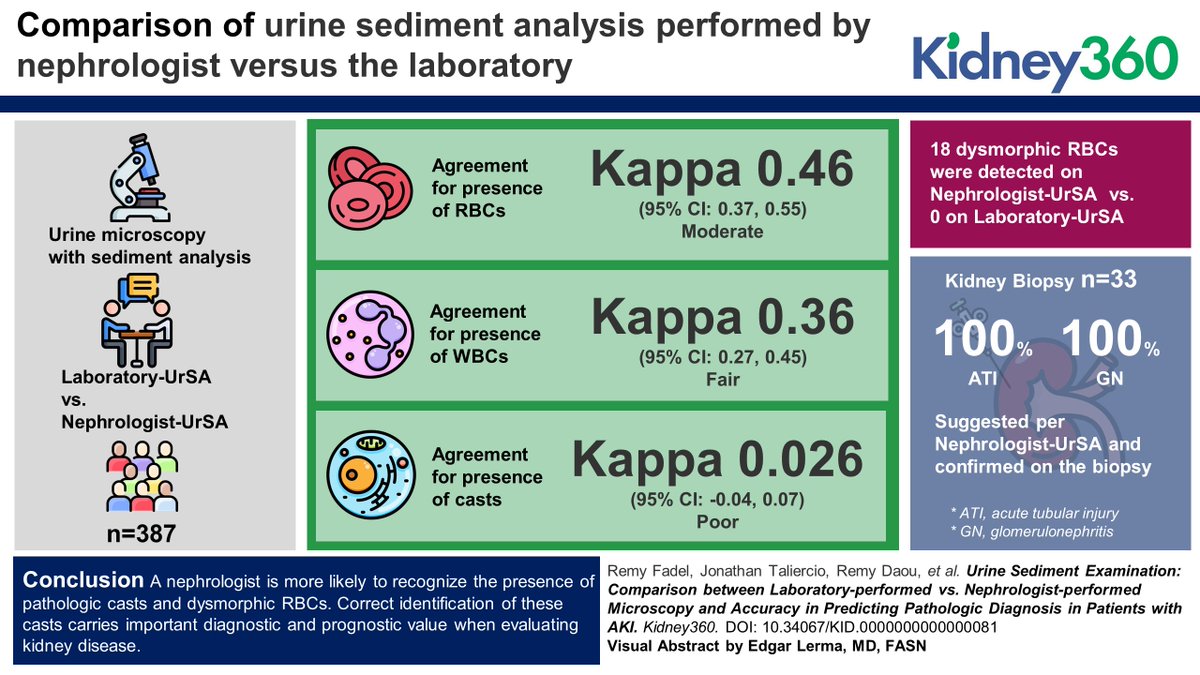 July Highlights: Urine Sediment Examination This study found that a nephrologist is more likely to recognize the presence of pathologic casts and dysmorphic red blood cells bit.ly/KID081 #VisualAbstract by @edgarvlermamd