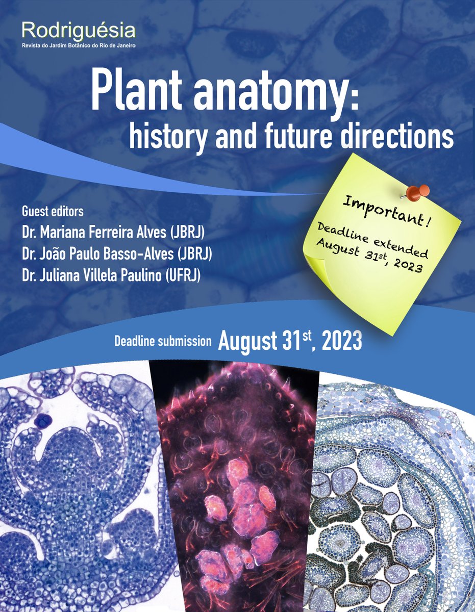Rodriguesia's tweet photo. Call for papers: “Plant Anatomy: history and future directions” Rodriguésia is currently preparing a special volume entitled “Plant Anatomy: history and future directions”, on the contemporary background of plant anatomy.  
New deadline to submit papers: August 31, 2023 https://t.co/RtIqSns8bL