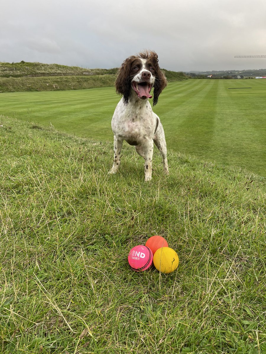 keith kemp tweet media