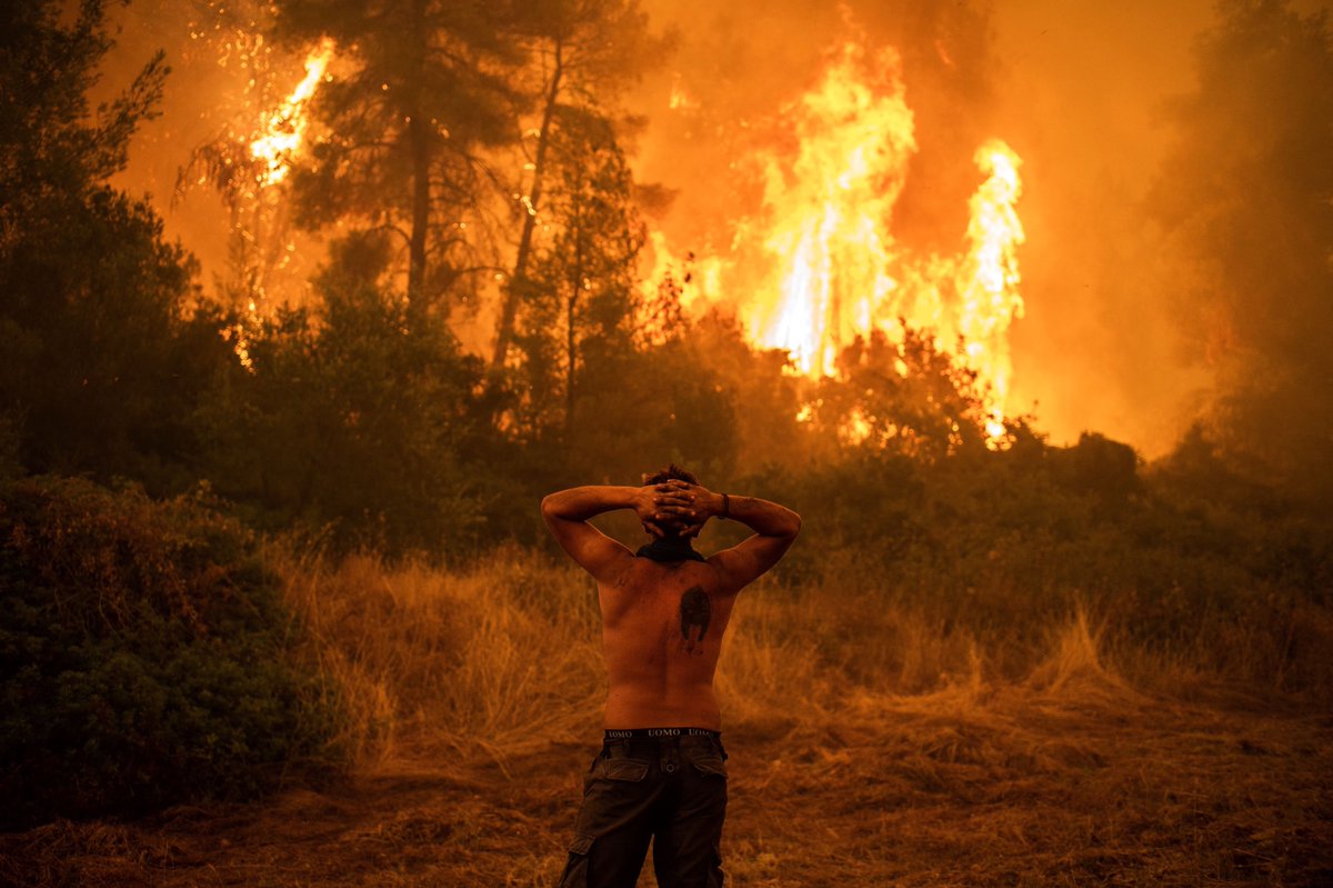 The world's on fire--literally. Look at Sicily. Greece. Canada. Oceans are boiling. Emissions are rising. 

I'm not homesick or lovesick--I’m planetsick. Furious at what we've done. Our planet is dying and we're to blame. Distinctions don’t matter. We did it. Homo sapiens. 1/6