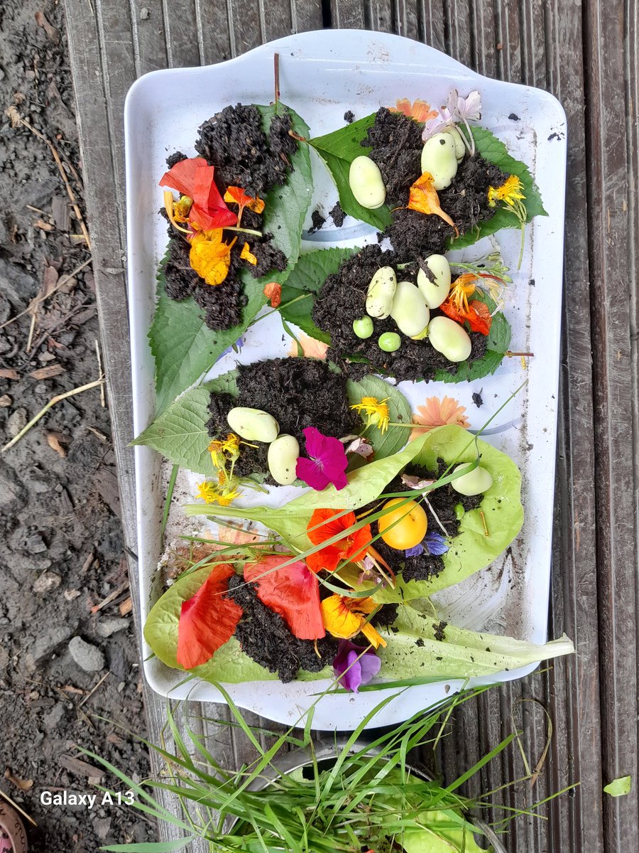 Suzieq1402's tweet photo. Fun in our mud kitchen and shop at @FARE_Scotland Lochend Community Allotment with #fareplaynursery who made flower burritos &amp; leafy salad. Then touch, smell &amp; taste  veggies &amp; herbs . @LeniFare @Jimmy_FARE @RHSSchools @RHSBloom https://t.co/xJwmMjWnR9