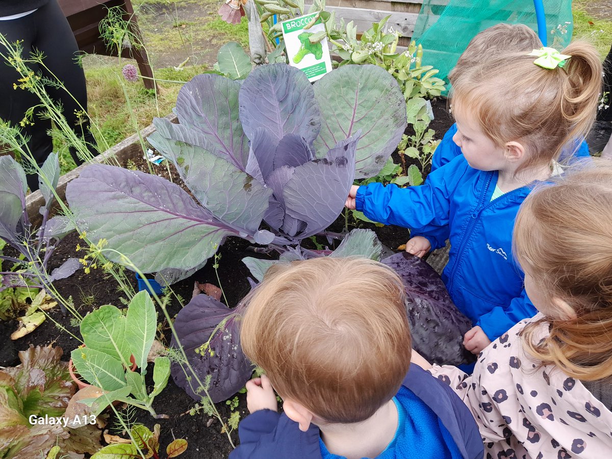 Suzieq1402's tweet photo. Fun in our mud kitchen and shop at @FARE_Scotland Lochend Community Allotment with #fareplaynursery who made flower burritos &amp; leafy salad. Then touch, smell &amp; taste  veggies &amp; herbs . @LeniFare @Jimmy_FARE @RHSSchools @RHSBloom https://t.co/xJwmMjWnR9
