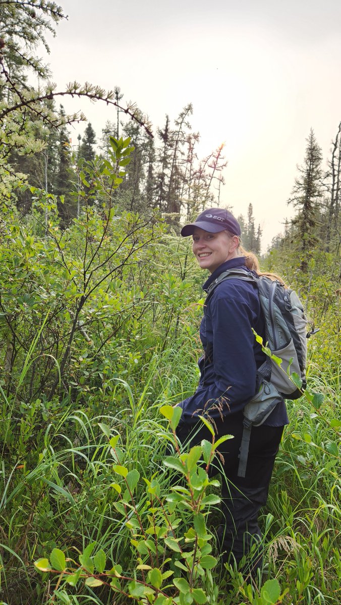 ScienceRNCan's tweet image. Caren Jones est technicienne en recherche au labo de restauration des écosystèmes du Centre de foresterie du Nord. Les travaux de son équipe portent sur la façon d’éliminer l’empreinte écologique laissée par les industries dans la forêt boréale.

#ScienceInclusive #FemmesEnSTIM