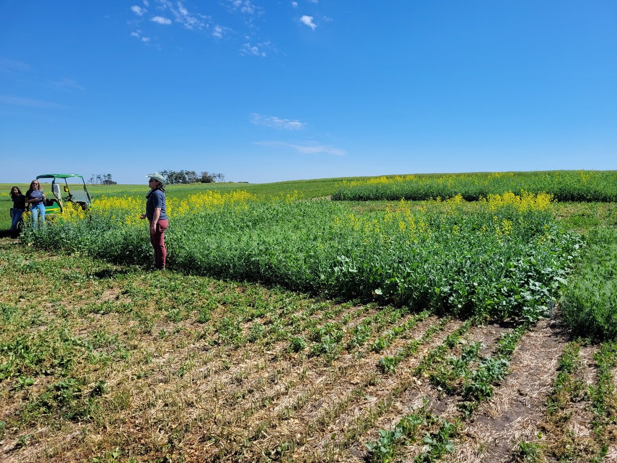 Justin Dering, PAg, CCA tweet media