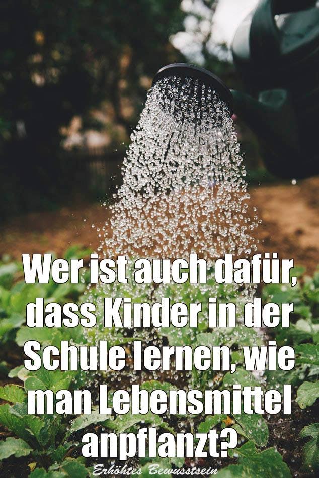 FrqnkSt's tweet photo. Ich ✋️ https://t.co/2N7nKTcdEk