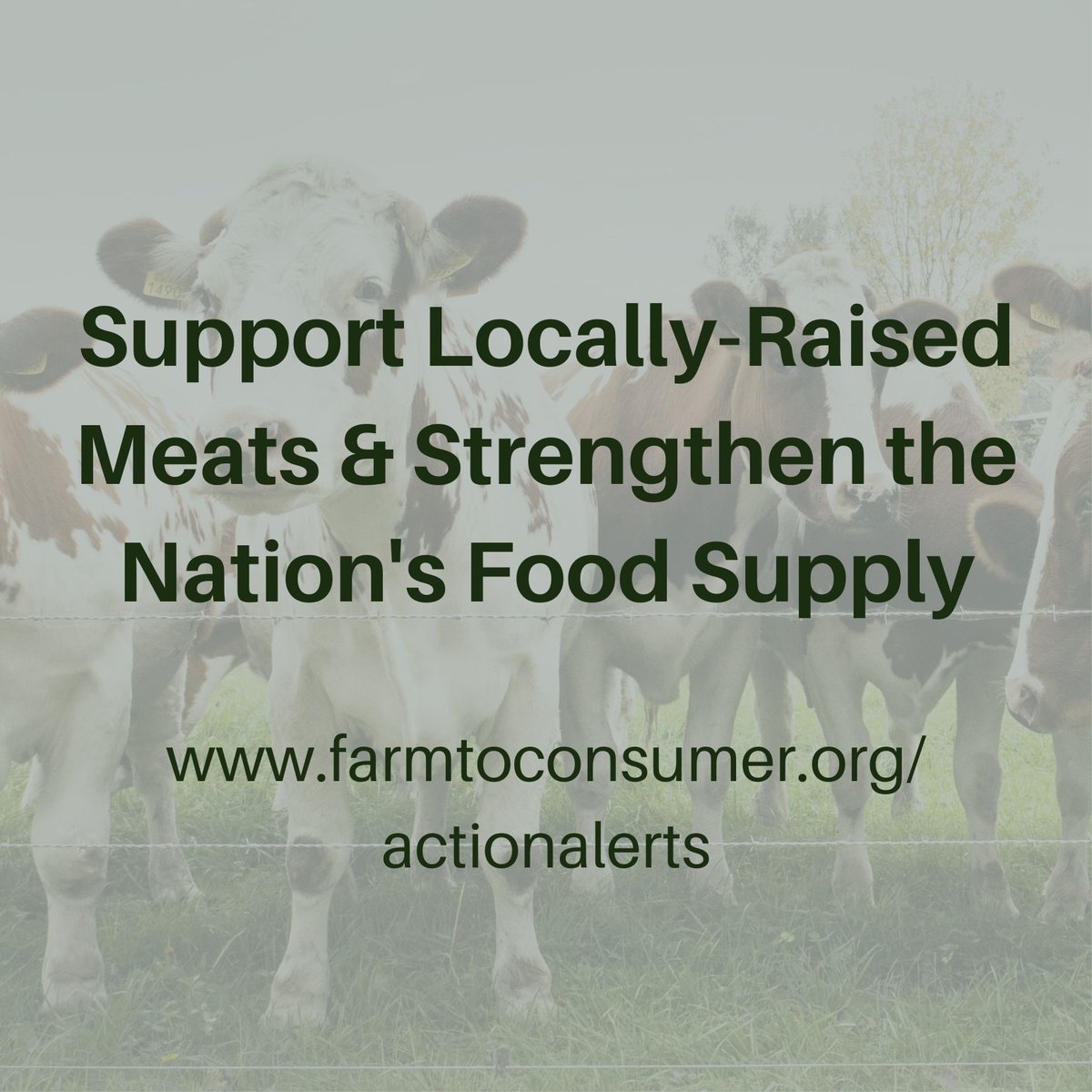 FTCLDF's tweet photo. Increase the Supply of Farm-Raised Meats; Support the PRIME Act and Changes to FMIA @barn2door #PRIMEAct #localmeat #grassfed #buylocal #smallfarm
https://t.co/Muyxux0CEq https://t.co/I2mYm16Nxe