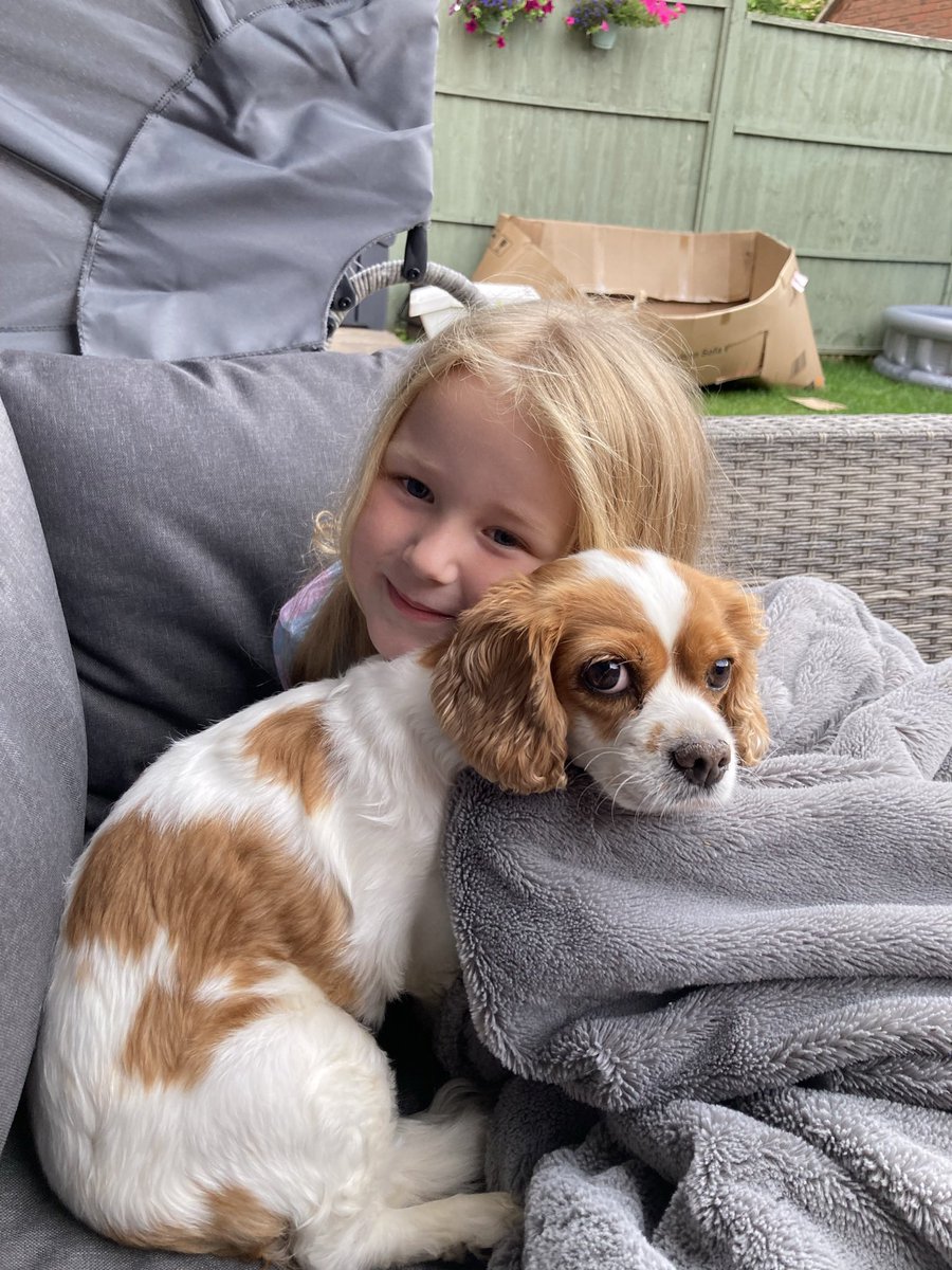 1sharper's tweet photo. Sadly we had to say goodbye to our beloved Dotty yesterday.
Words can’t describe how upset we all are, she was such a character and has been a huge part of our family for the last 9 years. We will miss her so much but we’re thankful for the time we had with her. 
RIP Dotty https://t.co/EnuGJyyIxQ