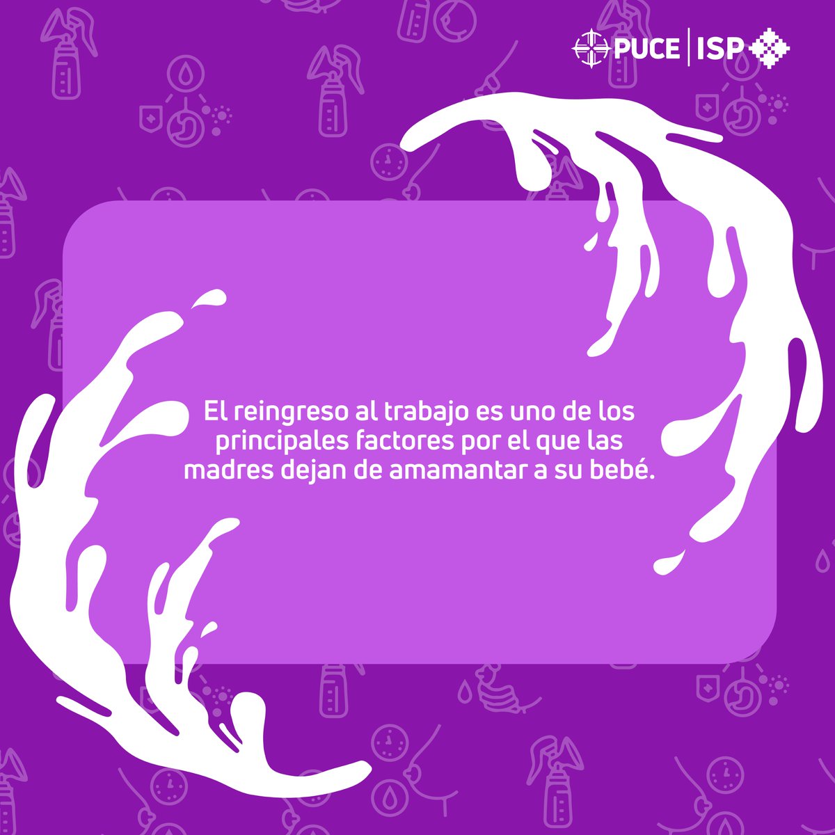 IspPuce's tweet photo. Trabajo y lactancia 💼🤱

Como sociedad busquemos el equilibrio entre trabajo y lactancia materna🫶🏻 https://t.co/6Xl8cXtl6r