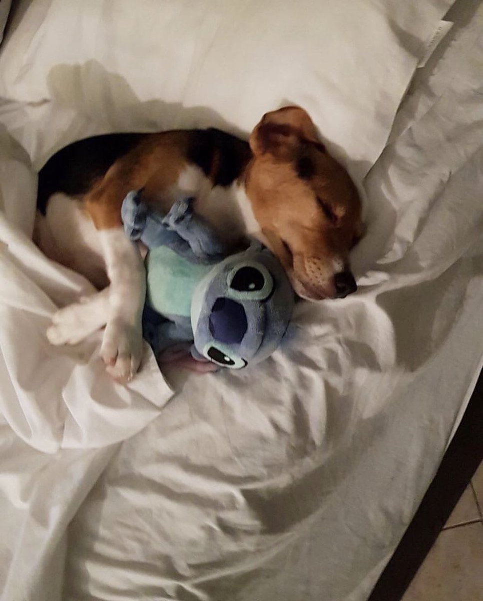 twaniimals's tweet photo. https://t.co/wF0VEtvTOv