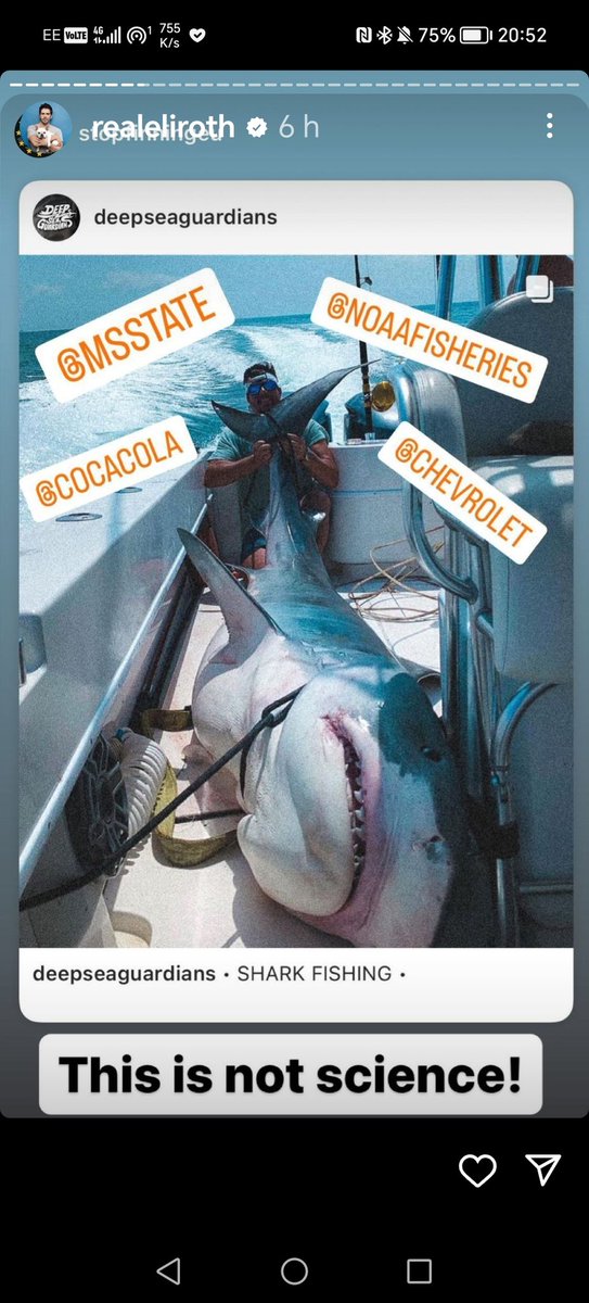 AlexRobinson84's tweet image. @CocaColaUSA_ how can you sponsor an event that is killing endangered species of shark this is disgusting #dontfearthefin  #SharkWeek2023 #everyweekissharkweek @Shark_Katharine @DiscoveryUK @CocaCola_GB
