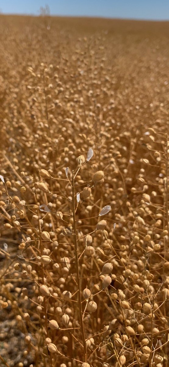 406 Agronomy tweet media