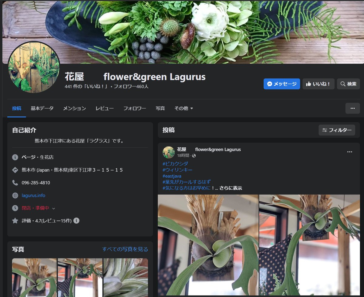 Purimama_Omura (@purimama_omura) / Posts / X