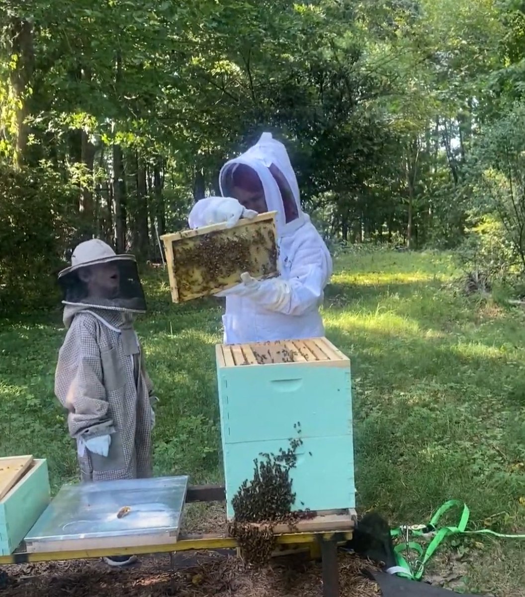 My son checking out the bees for the first time, he was more interested than he thought he was going to be. 

#beekeeping #beekeeper #bees #honeybees #bee #bonding #bondingtime