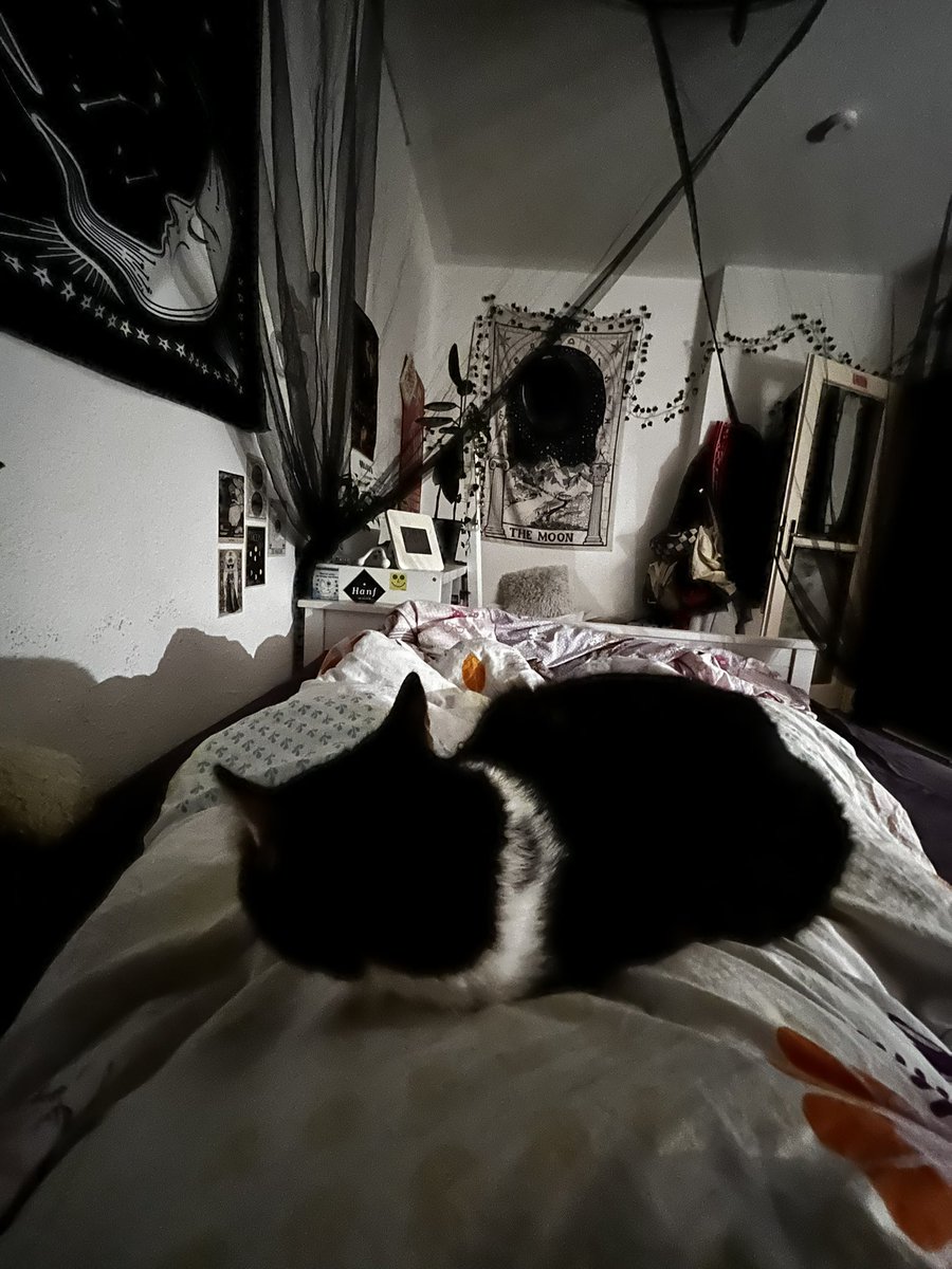 nele 🪐 tweet media