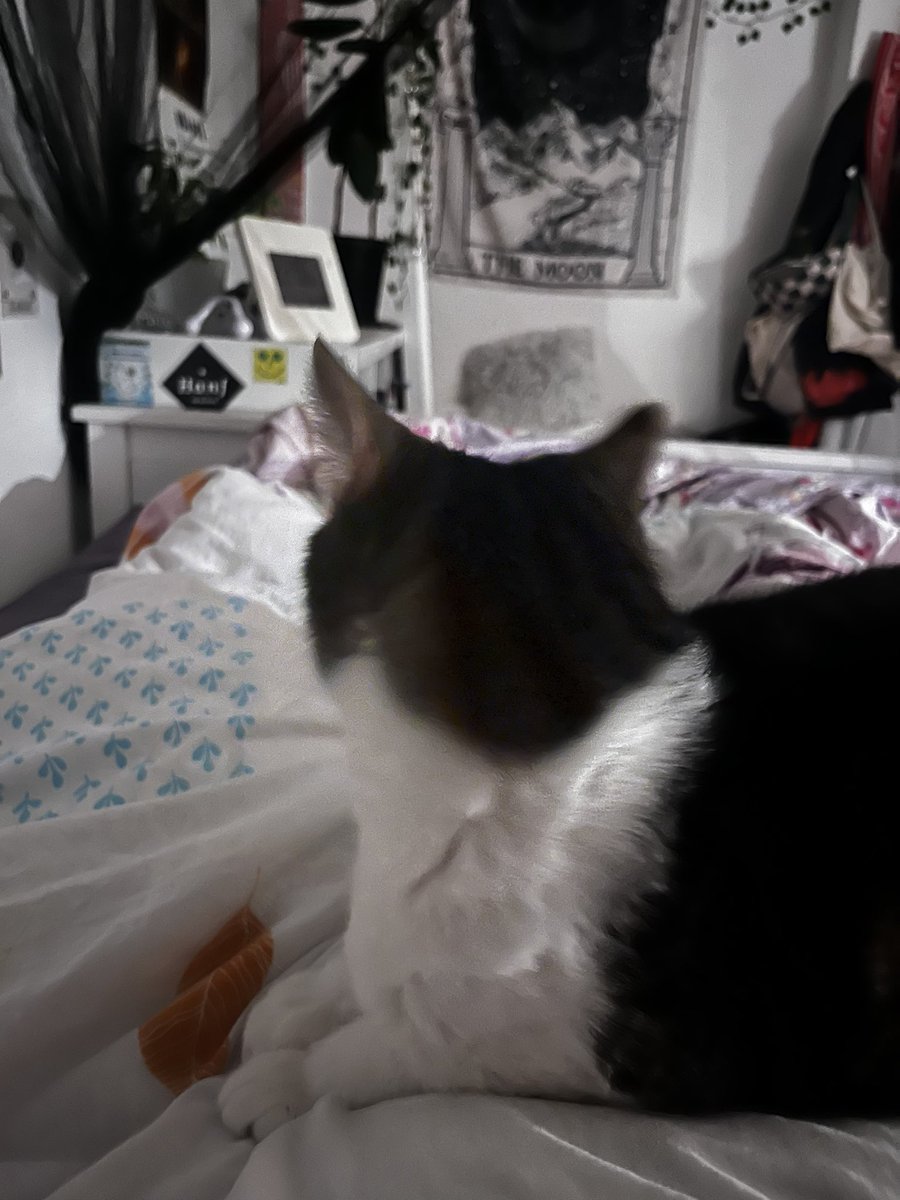 nele 🪐 tweet media