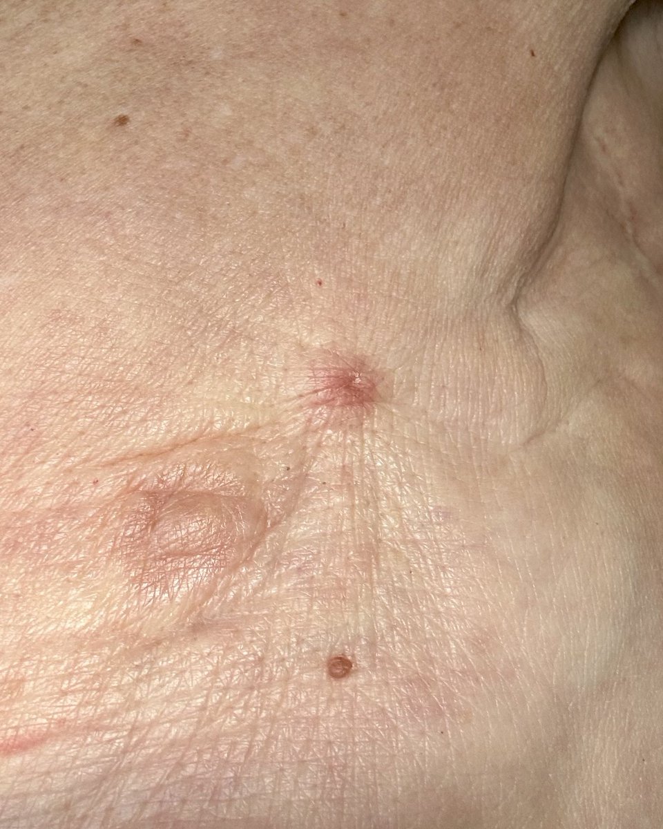 Dr Liz O'Riordan tweet media