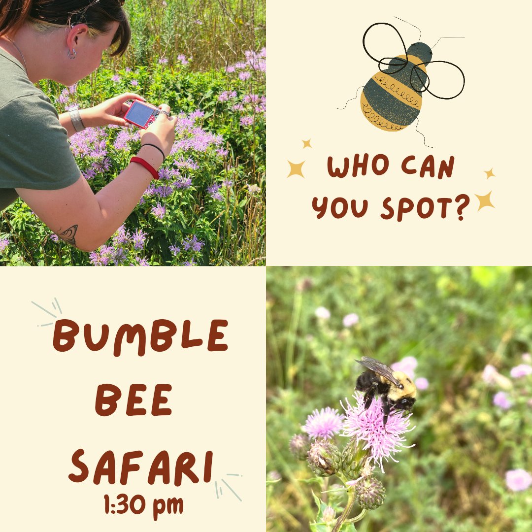 Calling all explorers, join us on a bumble bee safari! A MI bee expert will guide you through the gardens and assist with identifications. Download the bumble bee watch app to report the species you find to become a Community Scientist. Any camera will do. Happy bumbling!