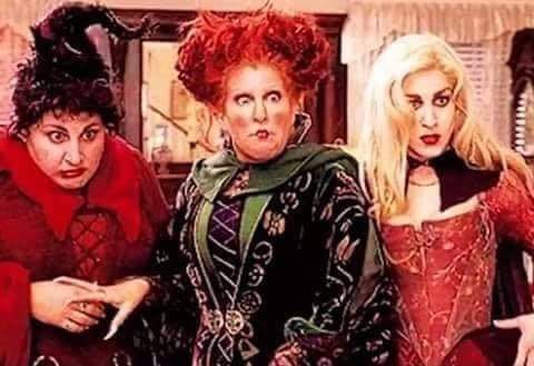 thespookygirll's tweet photo. when someone tells me they don't like halloween https://t.co/ZKLLiezY1L