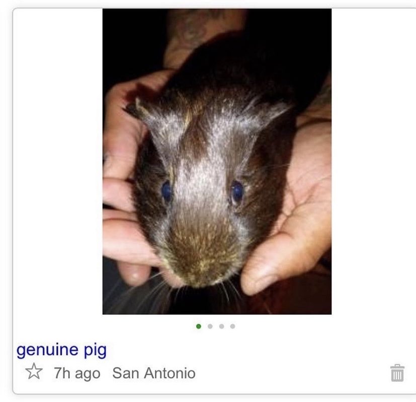 infinite jest audiobook tweet media