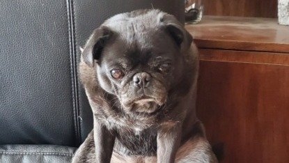 Eudhora's tweet photo. Please support my GoFundMe campaign: https://t.co/dD1VhJkunS #GoFundMe https://t.co/rlM1rg5KUJ