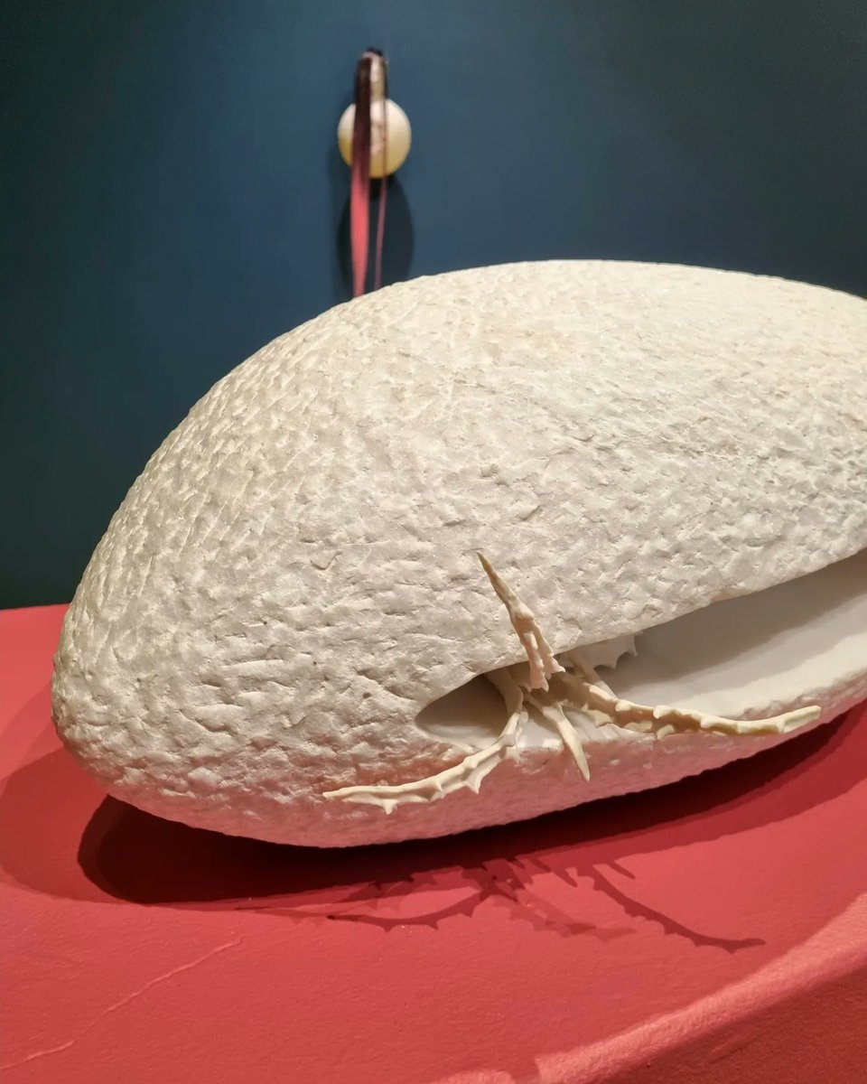 Infinite Possibilities — Cecilia Bullo, Brigid Mulligan &amp; Vicky Smith at Engage Art Studios, Galway International Arts Festival. Curated by Simon Fennessy Corcoran. #GIAF23 #Galway