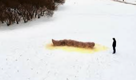 AngryMtBaker (Kulshan) tweet media