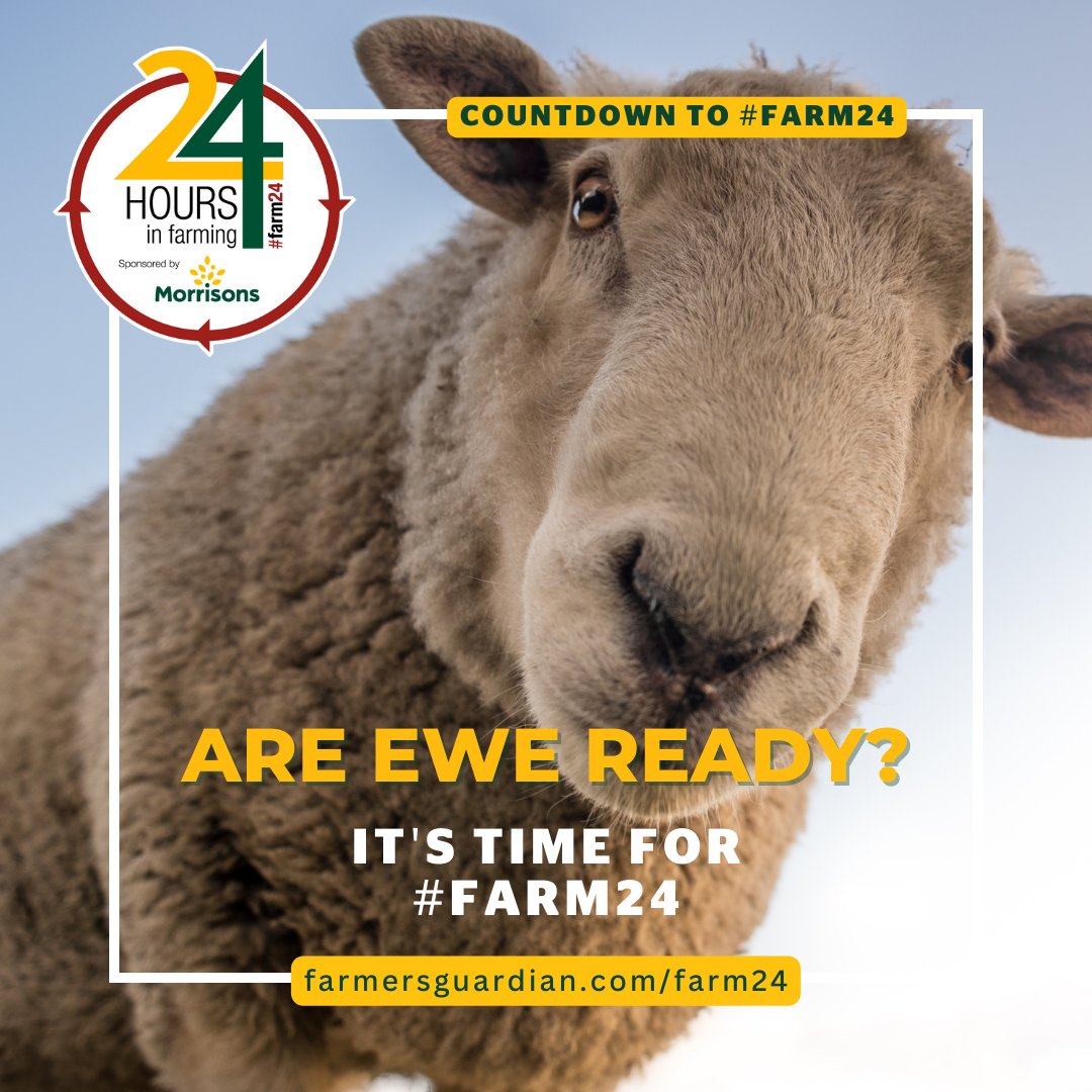 ARE EWE READY??? 🐑🚀 
The countdown to #FARM24 has officially began! 

You would not want to miss this online digital event! Don't forget to participate by clicking the link in our bio and signing the pledge.

<a href="/FarmersGuardian/">Farmers Guardian</a>  <a href="/Morrisons/">Morrisons</a> 
#FARM24 #FarmingCAN #CountdownBegins