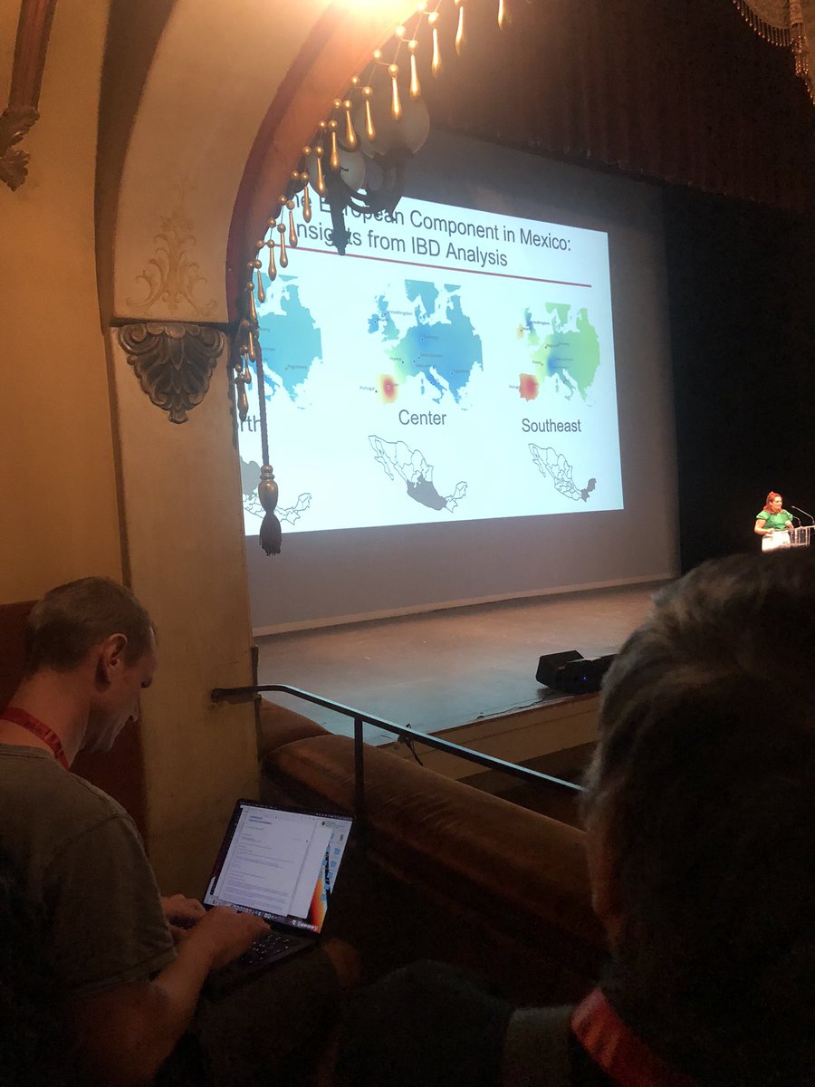 Fabio Cortesi tweet media