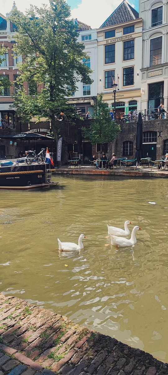 ManonMetzger's tweet photo. It has been an absolute pleasure to meet with colleagues and friends in Utrecht at #ICCS23. I had the joy to present the preliminary results of my research on the 'Lorgaireacht' along with Ulster University colleagues, among which @MaximFomin14!! Thanks to all who supported me https://t.co/ClMtRlwUYD