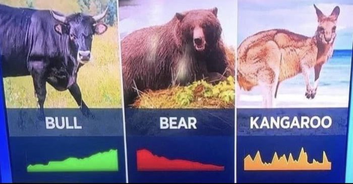 EasyCryptoEZC's tweet photo. Le kangourou market commence à être long https://t.co/h3BOrwRUBY