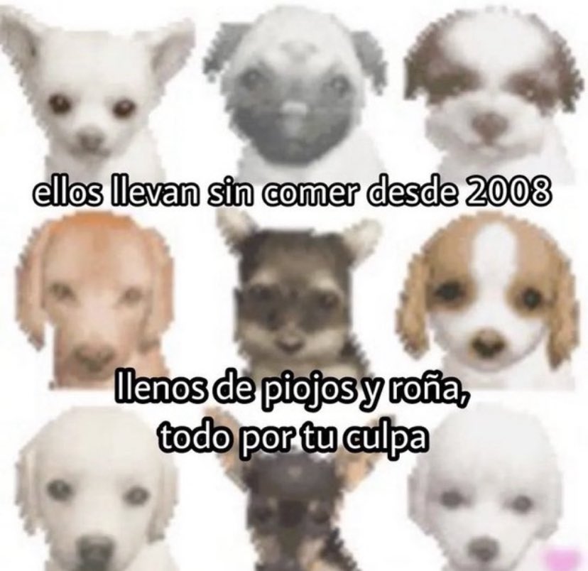 skereunpesado's tweet photo. https://t.co/tSVSDzdWay