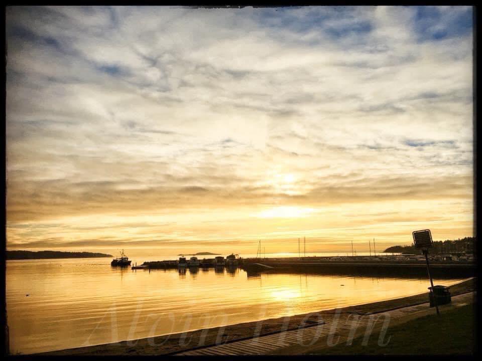 AlvinHolm3's tweet photo. Sjøbadet 🤗💛☀️

📸 Holm Photographer/A. Holm https://t.co/UzcLvgDYLo