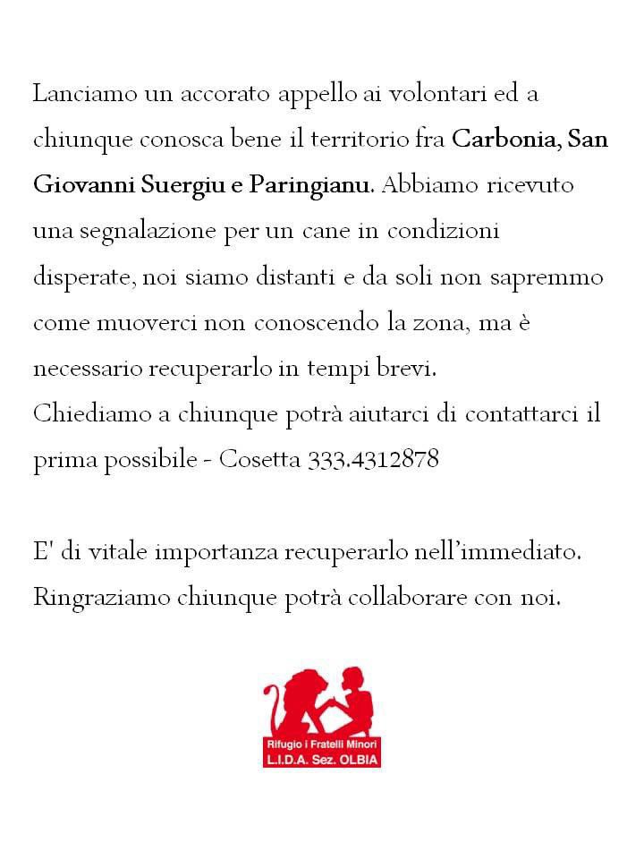 LidaSezOlbia's tweet photo. Olbia, 27.07.2023

Lanciamo un accorato appello ai volontari ed a chiunque conosca bene il territorio fra Carbonia, San Giovanni Suergiu e Paringianu. 

Abbiamo ricevuto una segnalazione per un cane in condizioni disperate, noi siamo distanti e da soli non sapremmo come muoverci https://t.co/lXHYnwj22y