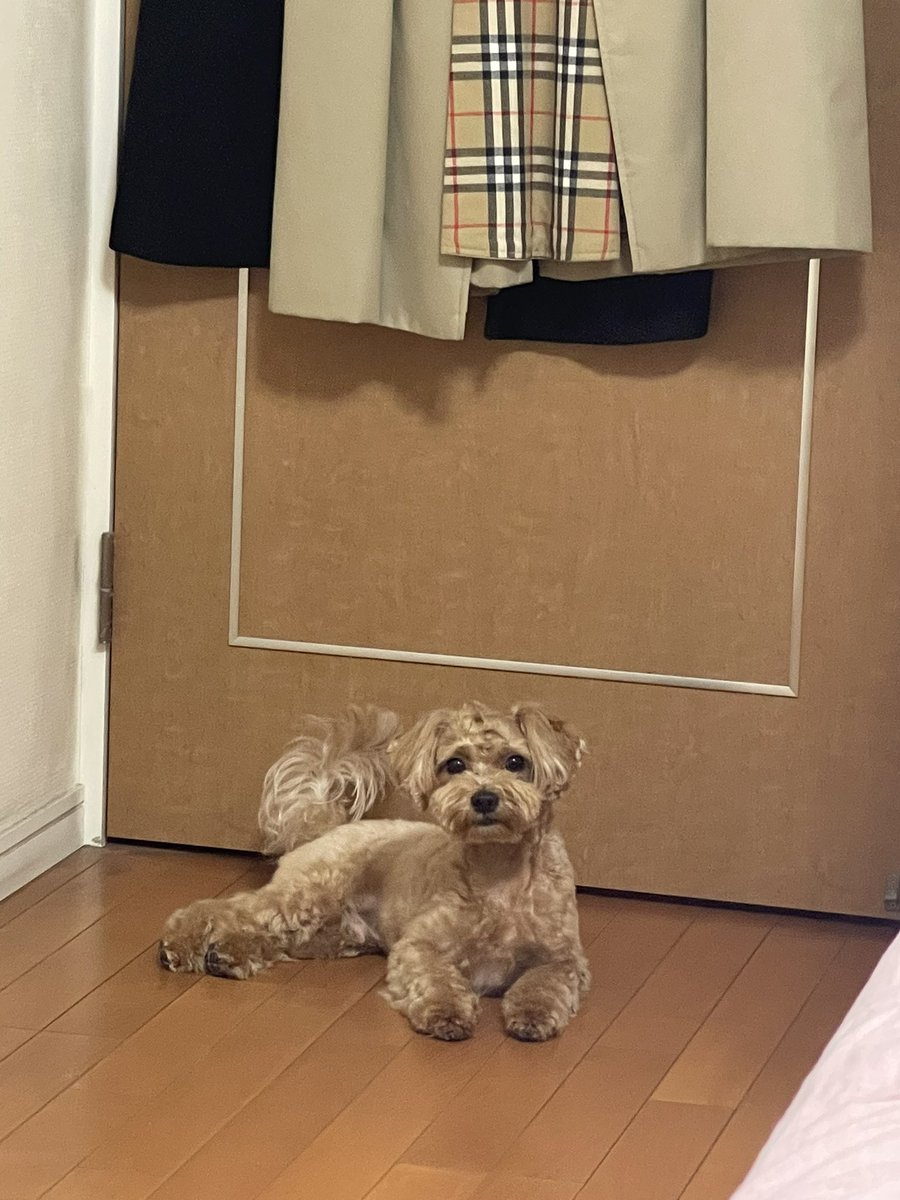 OdaOdajima's tweet photo. https://t.co/YEXwizFJ78