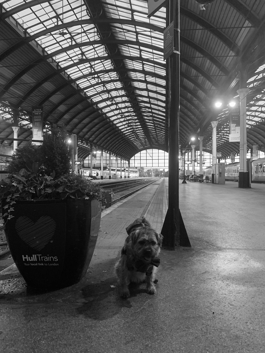 waltertheborder's tweet image. On my way to granny’s house #Artyfartyphoto