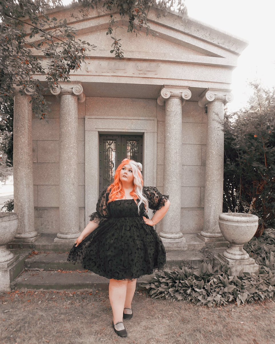 Shannon Shortcake 🔮🌙 tweet media