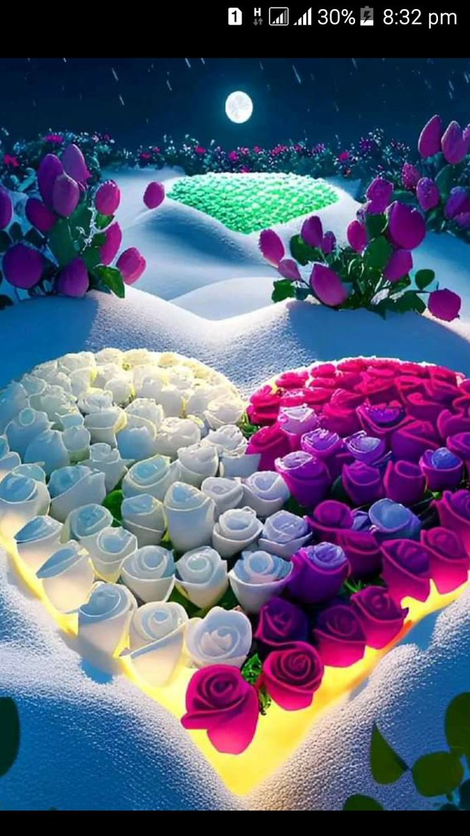rahim_moha81817's tweet photo. @DarvishiNida شب بخیر عزیزم https://t.co/Std8sjfYmj