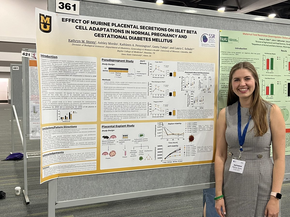 Kathryn Storey (@sciencestorey) on Twitter photo It’s been a busy summer in the <a href="/LCSchulzLab/">Schulz Lab - MU</a>! I had the opportunity to present some of my dissertation research on gestational diabetes pathophysiology at #SSR2023 and undergraduate researcher Ashley Monks was chosen as an <a href="/MUHonors/">Mizzou Honors College</a> Cherng Scholar, presenting her research today! It’s been a busy summer in the <a href="/LCSchulzLab/">Schulz Lab - MU</a>! I had the opportunity to present some of my dissertation research on gestational diabetes pathophysiology at #SSR2023 and undergraduate researcher Ashley Monks was chosen as an <a href="/MUHonors/">Mizzou Honors College</a> Cherng Scholar, presenting her research today!