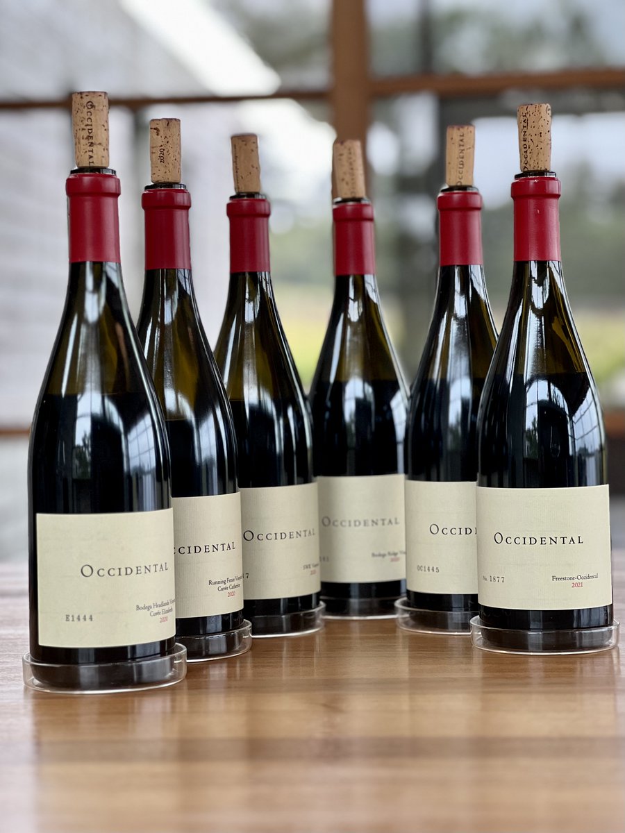 LisaPBMW's tweet photo. Just published on https://t.co/BT5EG83oxz - feature stories about Steve Kistler's Occidental vineyards &amp; winery + the new West Sonoma Coast AVA, inc more than 100 wine reviews from this seriously cool area. #Wine @TheWineInd https://t.co/NdSc2R4Biv