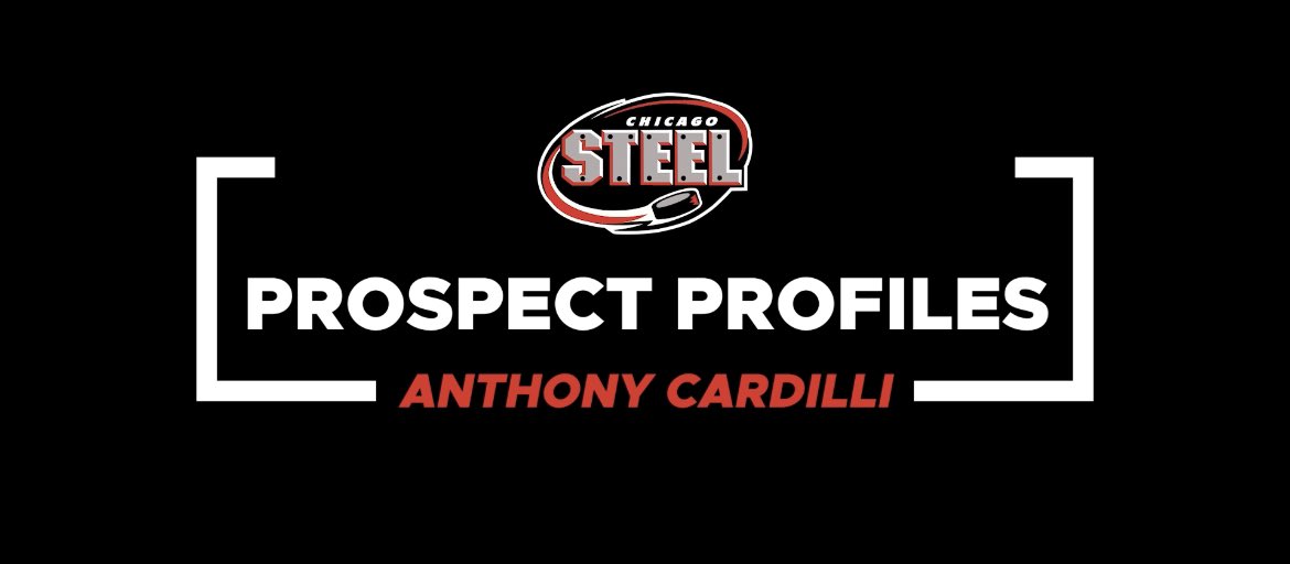 Chicago Steel tweet media